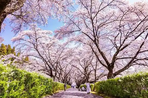 Yoda Setsu Park