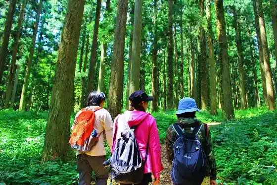 Iinan Furusato Forest (Shinrin Serapii Mori no Hotel Mori no Su Campground)