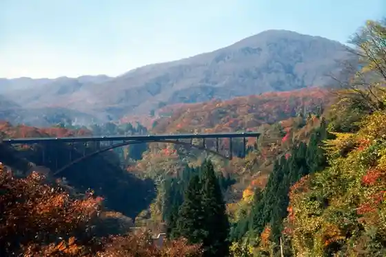 Nabekura Plateau Autumn Foliage