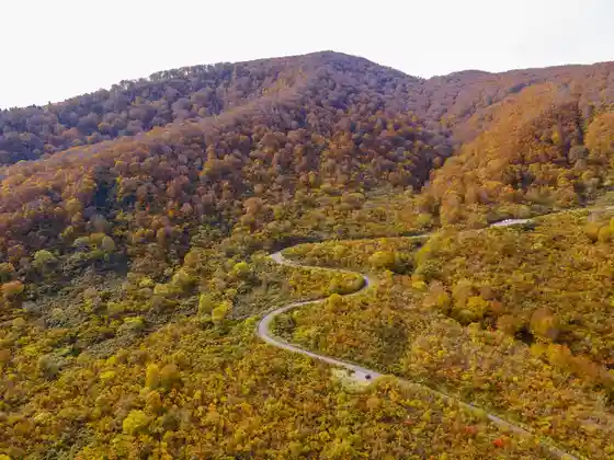 Nabekura Highlands