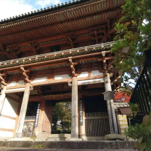 Kyuan Tera
