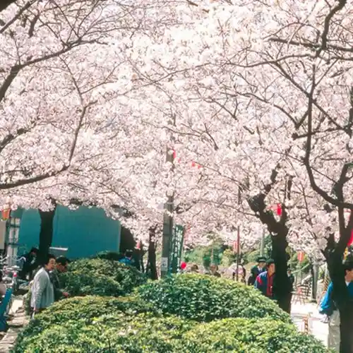 Satsukiyama Park