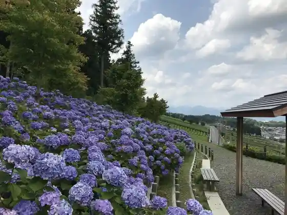 Kasumigakei