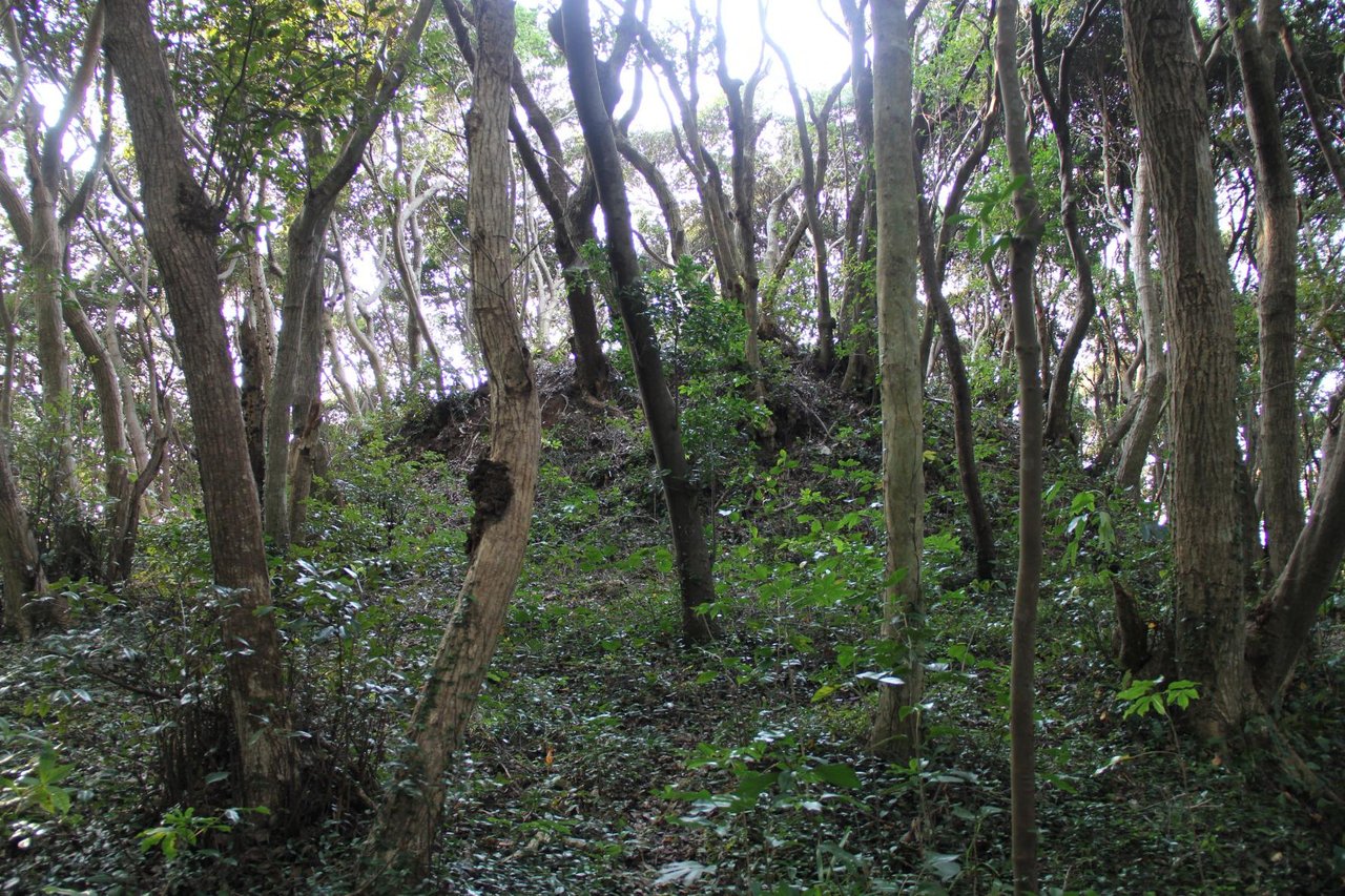Tsushimazuka Kofun