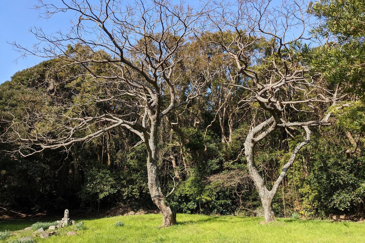 Kokubunji Temple Ruins