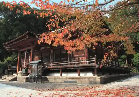 Chokyu Tera