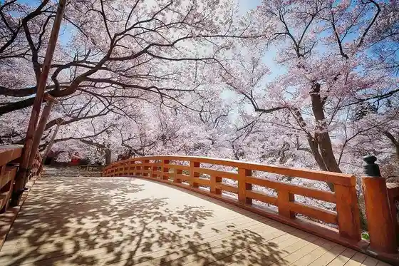 Takato Castle Ruins Park
