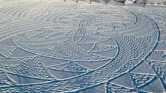 Winter Rice-Paddy Art