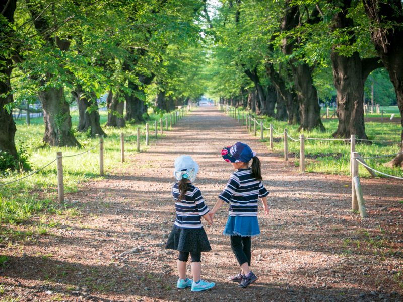 Musen-yama and KDDI Forest