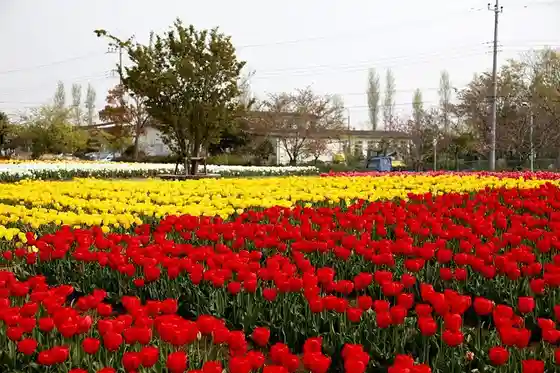 Wada Park