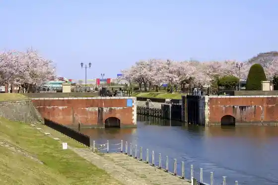 Yoko Tone Komon