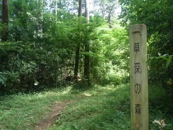 Kusa Shin Forest (Sofuke no Mori)