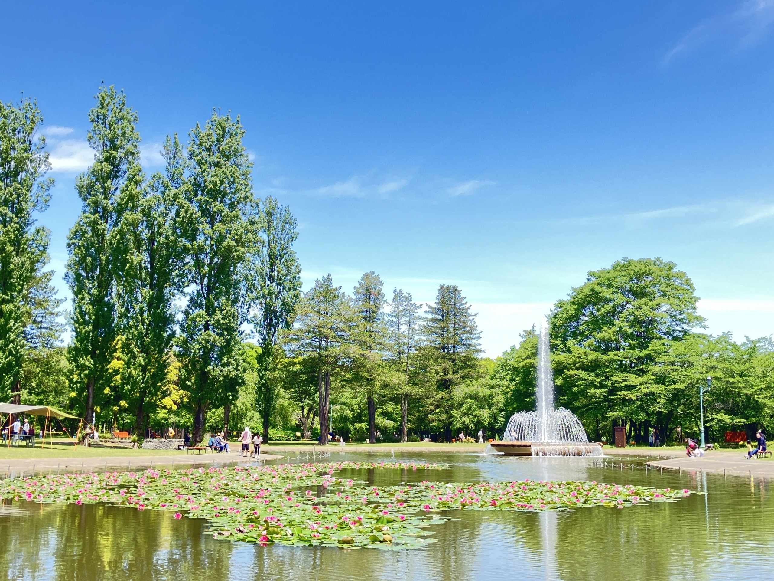 Emi Park Sai no Mori Iruma
