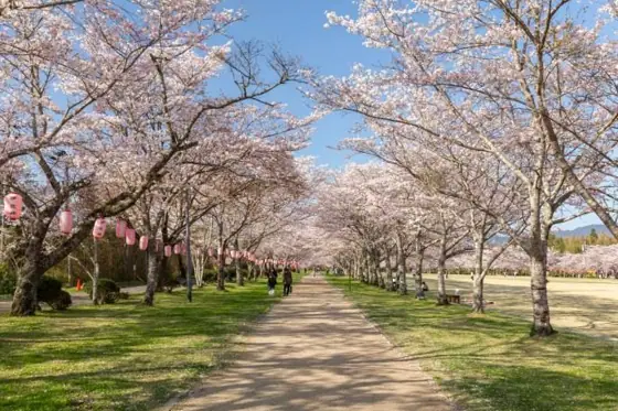 Tadamoto Park