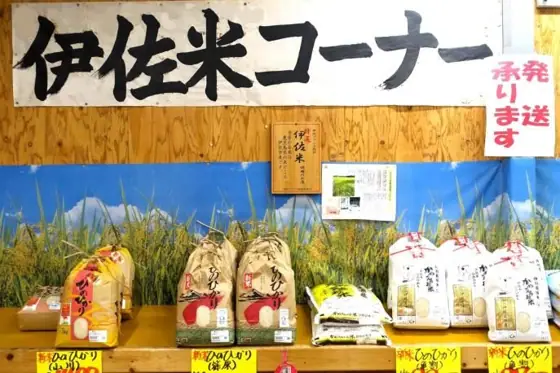 Magoshi Market
