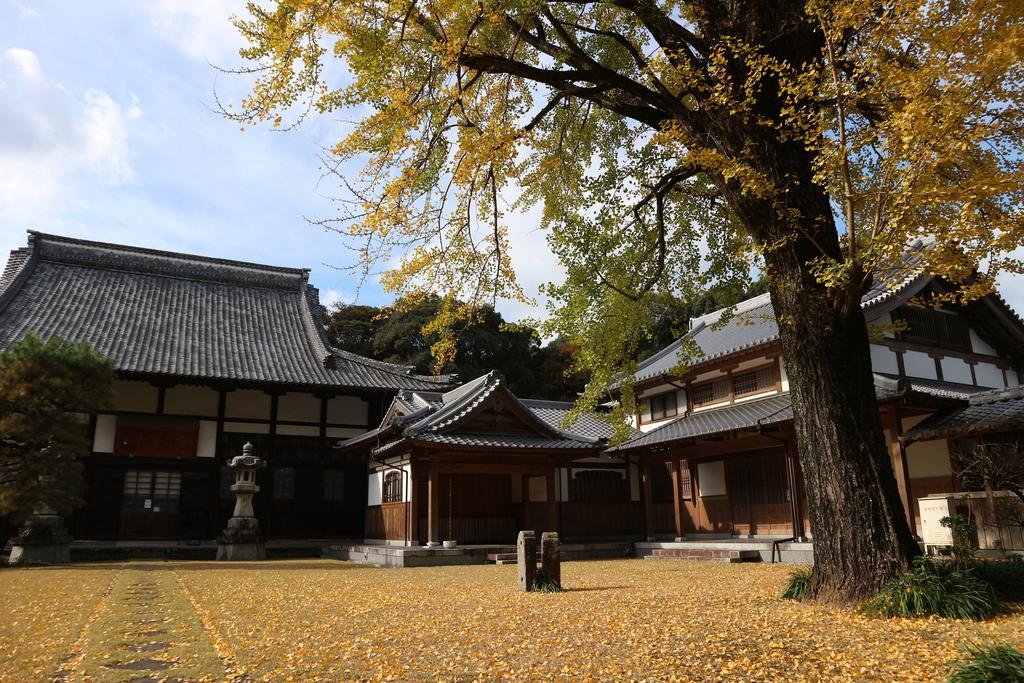 Tenyu-ji Temple and Isahaya Family Cemetery