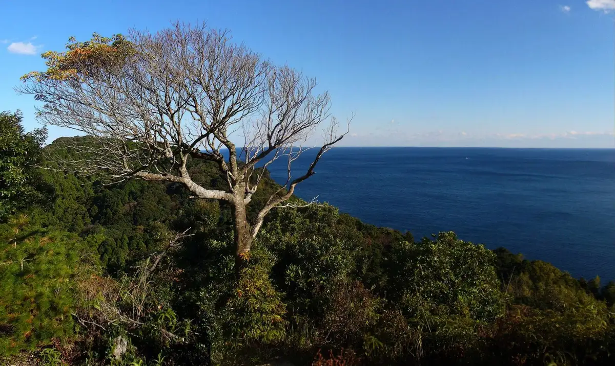 Isarino-mori Park walkway view, Kaiyo Town