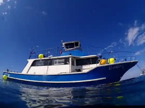 G-FREE Diving Service