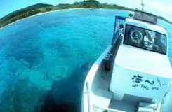 Diving Shop Umi e