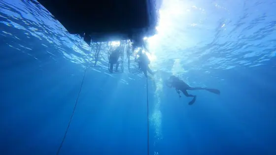 Ishigaki Island Diving Shop Solid Crew