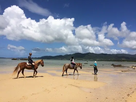 Horse Riding Spot Namma