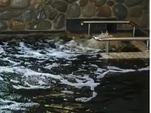 Mikawa Onsen Motoyu Honda
