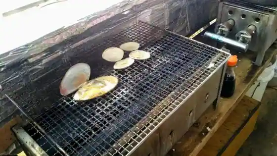 海風