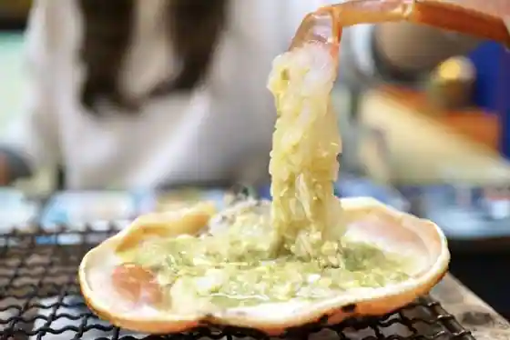 Tabi Tei Kaiseki Notoya