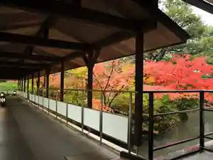 Kanazawa Tatsukuchi Onsen Yasashisano Yado Matsusaki