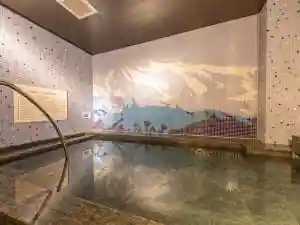 Tennen Onsen Super Hotel Ishikawa Nomi Negami Sumatointa