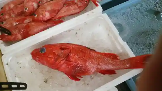 水澤屋もっちゃん