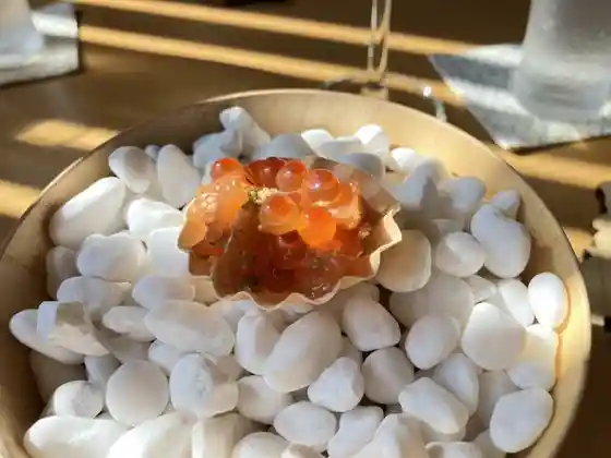 ISHINOMAKI まるしん