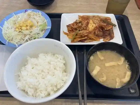 松屋(松のや併設) 石巻恵み野店
