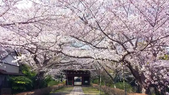 Nagakatsu Tera