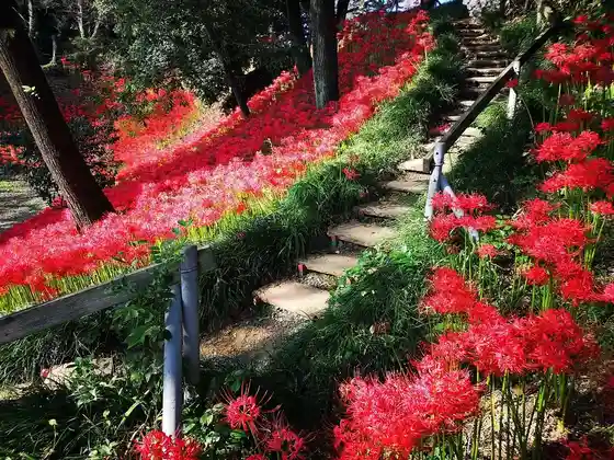 Hanareyama Park