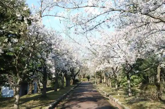 Miyama Park