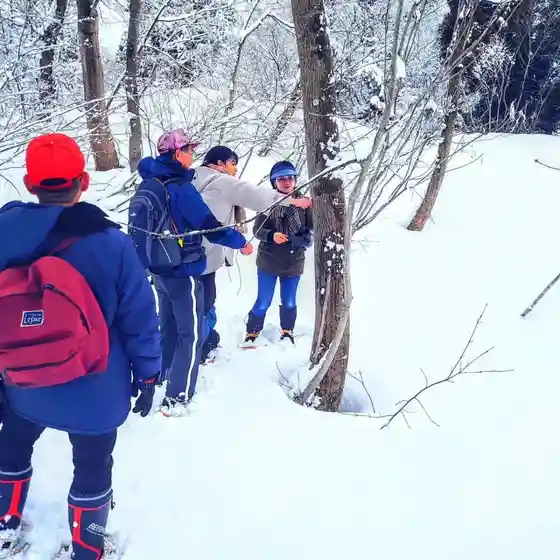 Meipurushiroppu Saishu & Shiroppu Tsukuri Experience