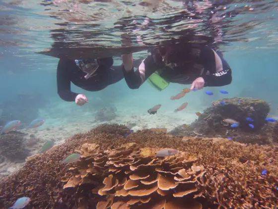 Nakayukui Sea Play Spot
