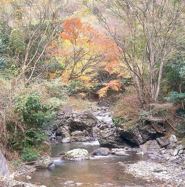 Shimokajiwara Area, Itsuki Village