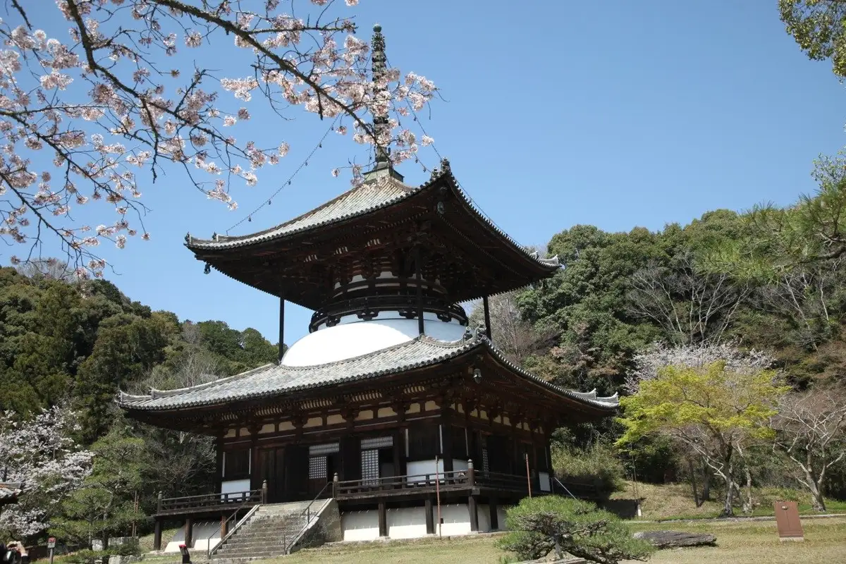 Negoro Tera (Negoro Tera)