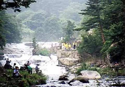 Okawa Shichi Taki