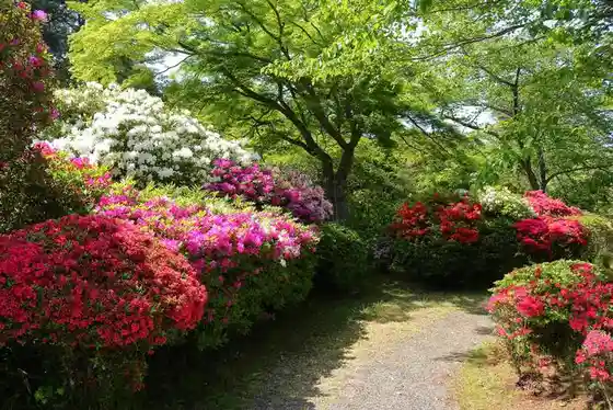 Tsutsuji Park