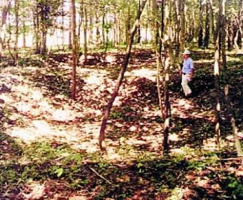 Imamatsu Pit-Dwelling Ruins