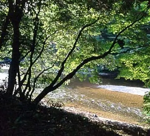 Tando River Gorge