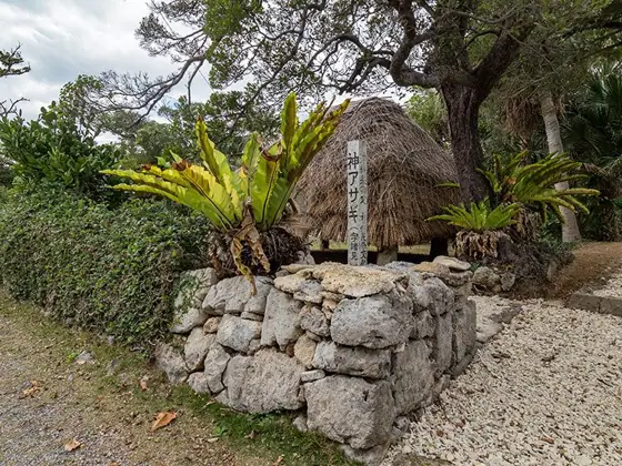 Izena Village Moromi Kami Asagi