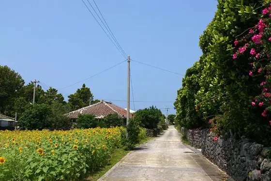 Izena Settlement