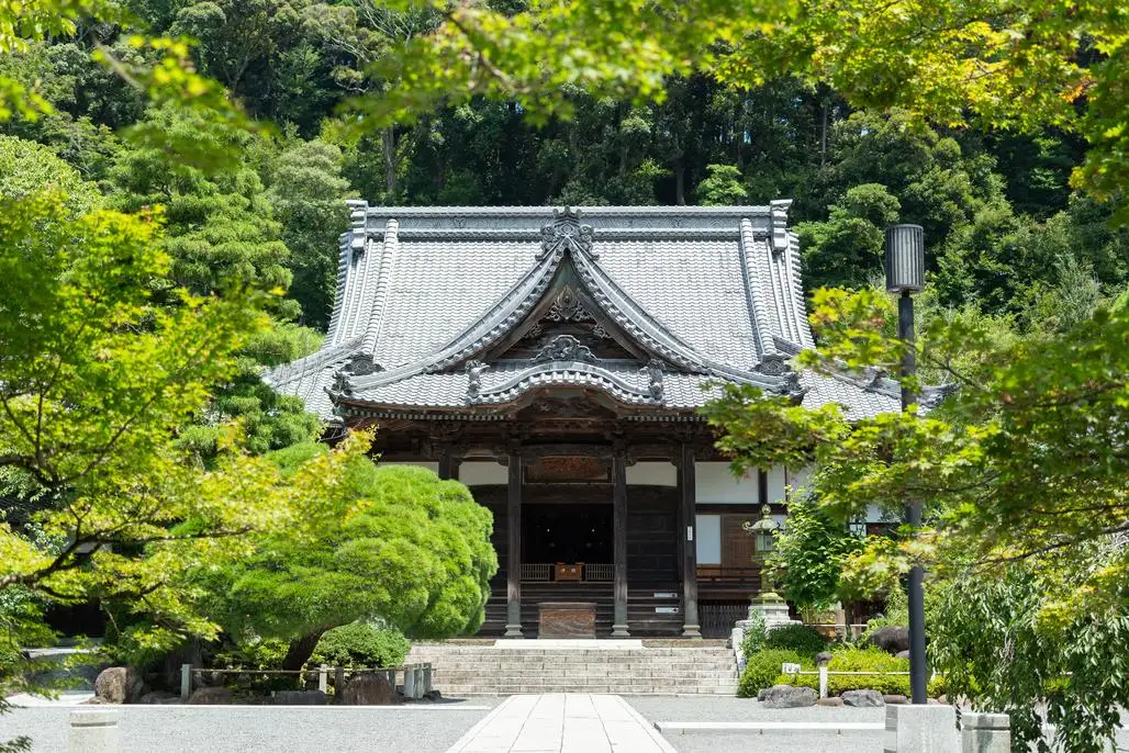 Shuzen Tera
