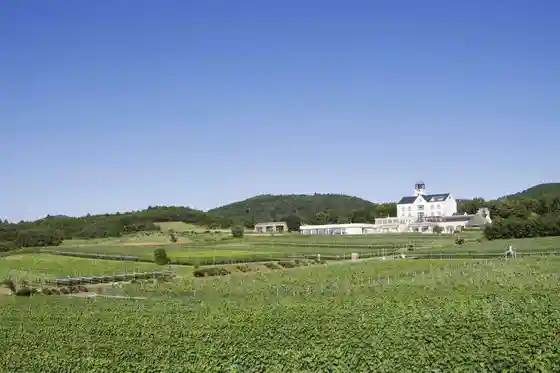 Nakaizu Winery Chateau T.S