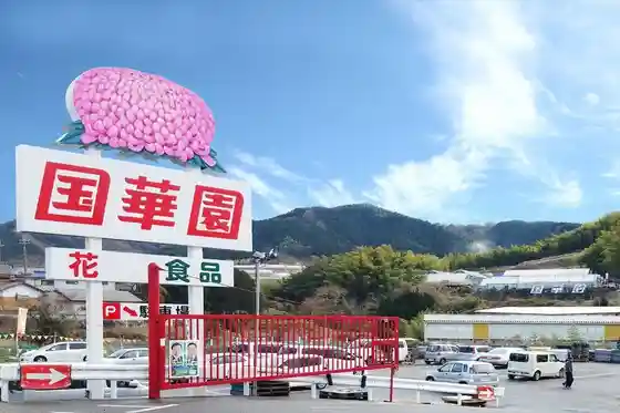 Kokuka Sono