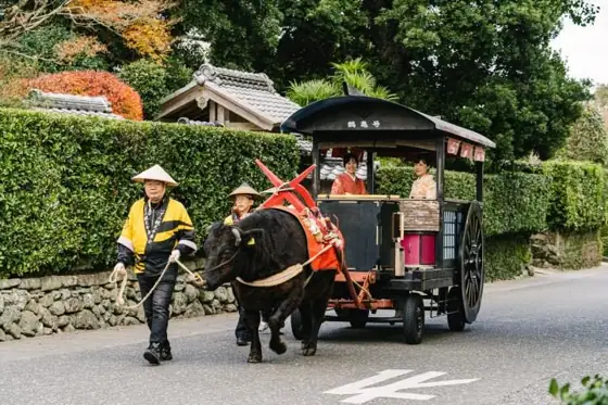 Izumi Sightseeing Ox Cart